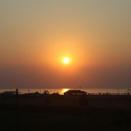 Afroditi Paralia Katerinis Bagian luar foto